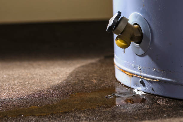 Best Residential water damage restoration  in Chauvin, LA