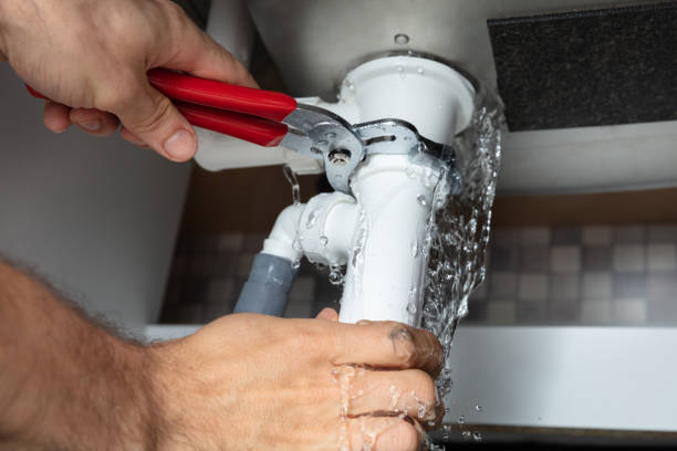 Best Water damage mitigation services  in Chauvin, LA
