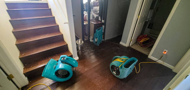 Reliable Chauvin, LA Water damage restoration Solutions