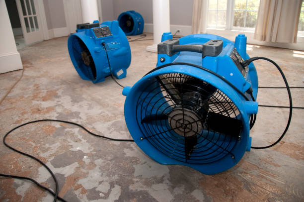 Best Ceiling water damage repair  in Chauvin, LA